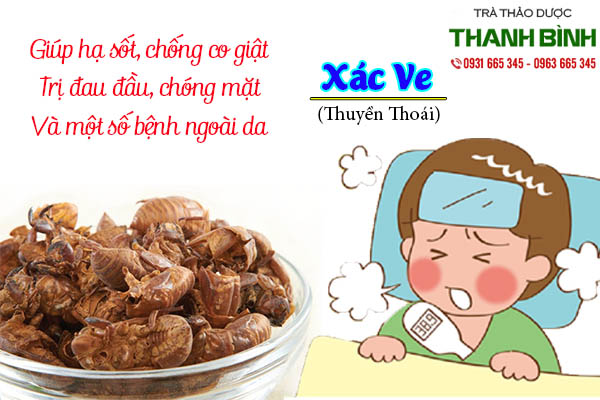 xác ve thảo dược thanh bình
